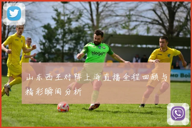 山东西王对阵上海直播全程回顾与精彩瞬间分析