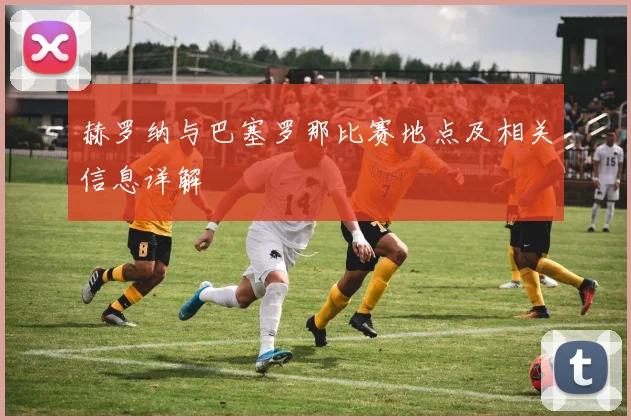 赫罗纳与巴塞罗那比赛地点及相关信息详解